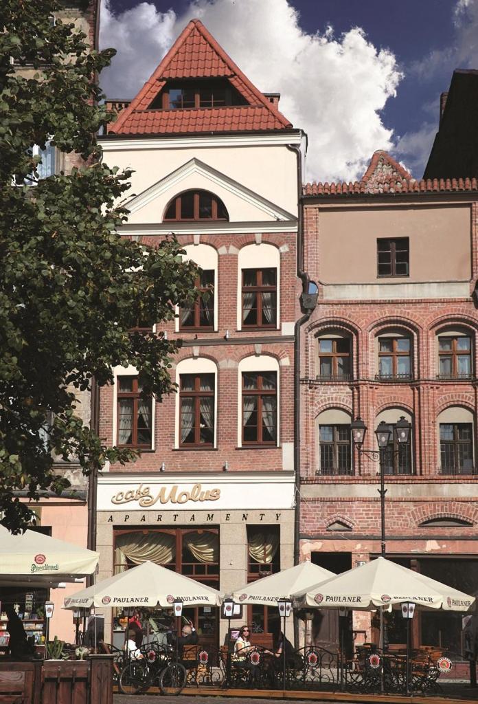 Apartamenty Molus Na Rynku Staromiejskim Stary Toruń Buitenkant foto